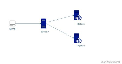 構(gòu)建高可用物聯(lián)網(wǎng)應(yīng)用服務(wù) 基于HAProxy的Web服務(wù)器群集搭建指南